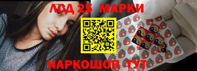 гидропоника Новозыбков