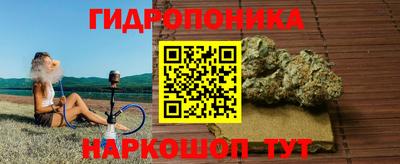 гидропоника Новозыбков