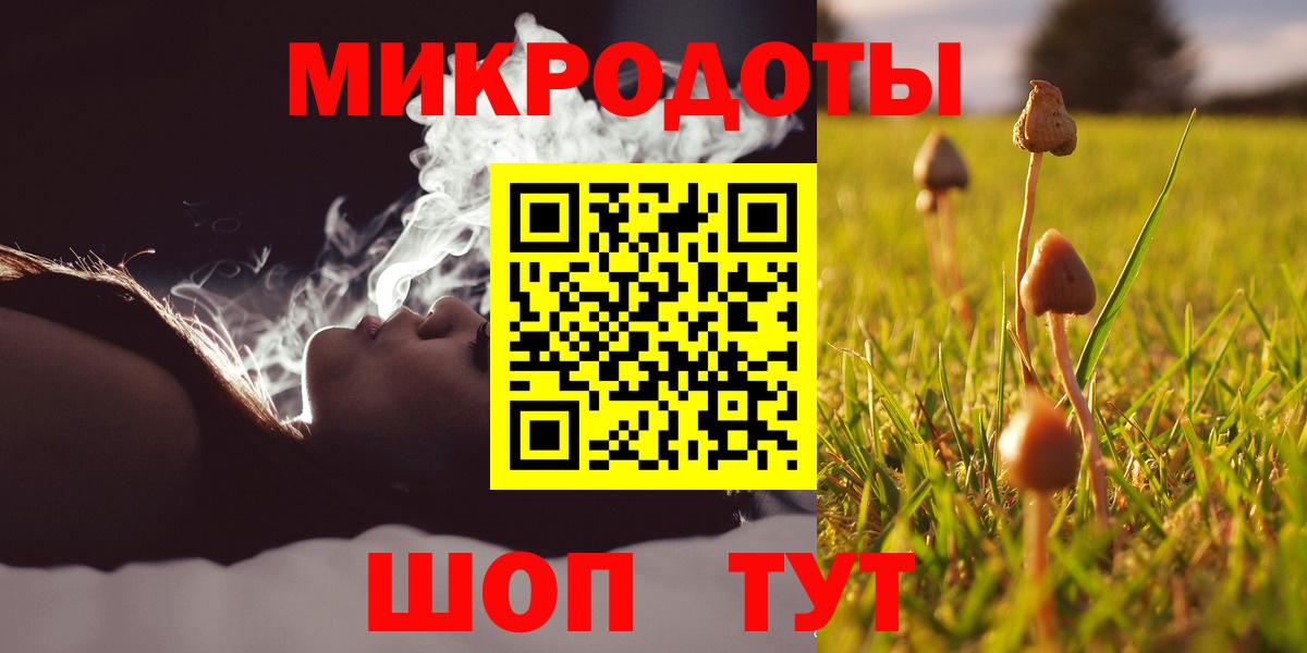Псилоцибиновые грибы GOLDEN TEACHER Тверь