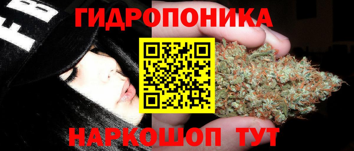 Бошки марихуана White Widow Тверь